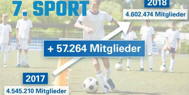 Die wichtigsten Daten aus dem statistischem Jahrbuch für Bayern 2019 7