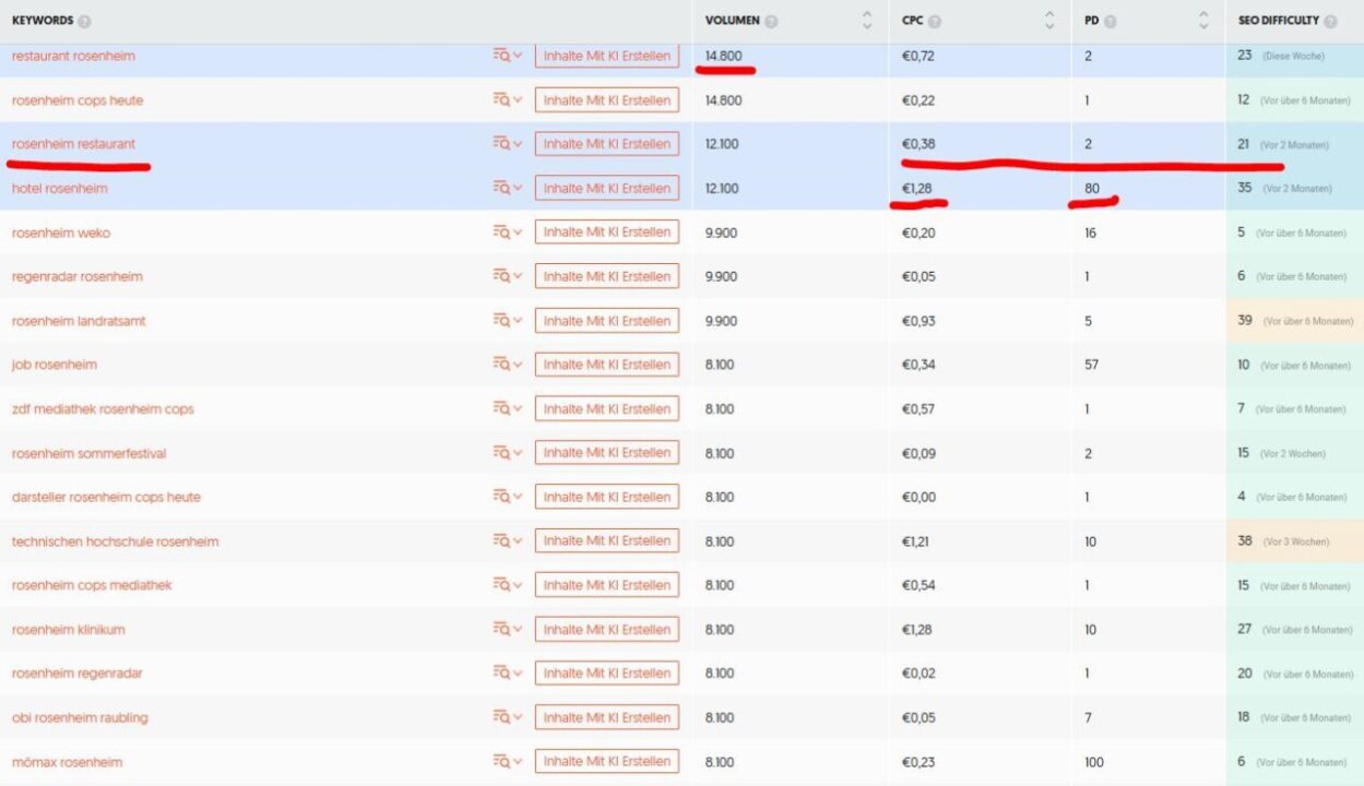 SEO Rosenheim: Hole das Beste aus deiner Webseite heraus! 3